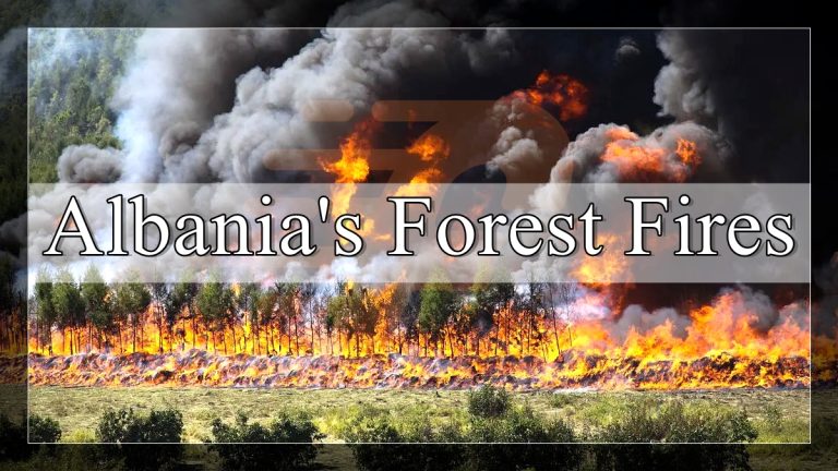 Emergency Aid and Green Protection – A Ray of Hope in Albania’s Forest Fires
